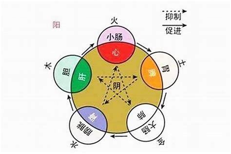 忌木|八字中的五行木该如何理解 八字五行木旺的人忌讳什么